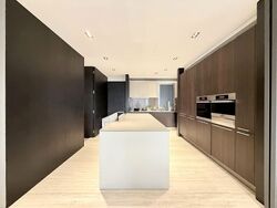 TwentyOne Angullia Park (D9), Condominium #560095151